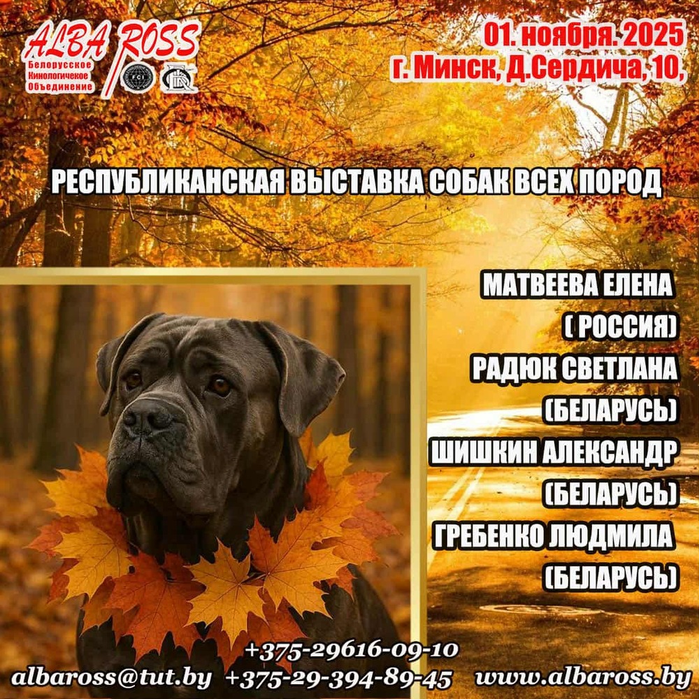 Республиканская выставка собак всех пород «Листопад - 2025»