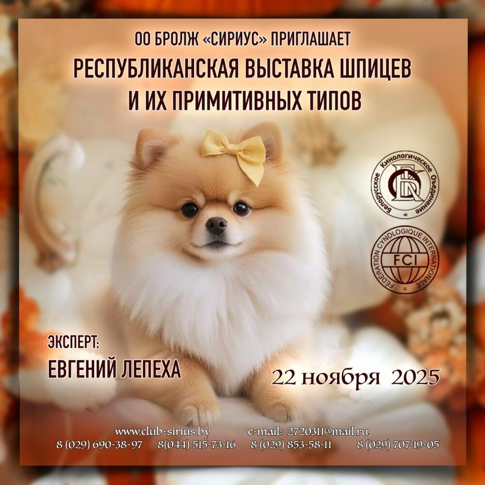 Республиканская выставка лаек, шпицев и их прототипов