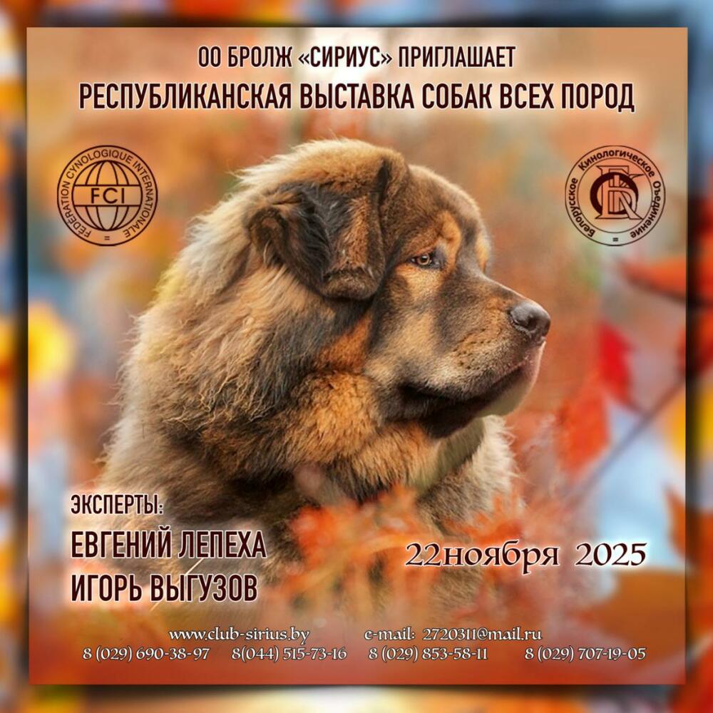 Республиканская выставка собак всех пород