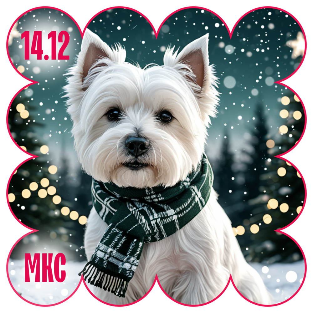 Чемпионат вест-хайленд-уайт терьер