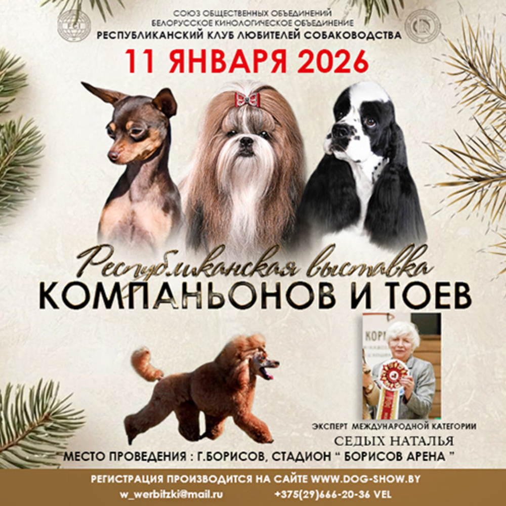 Республиканская выставка компаньонов и тоев