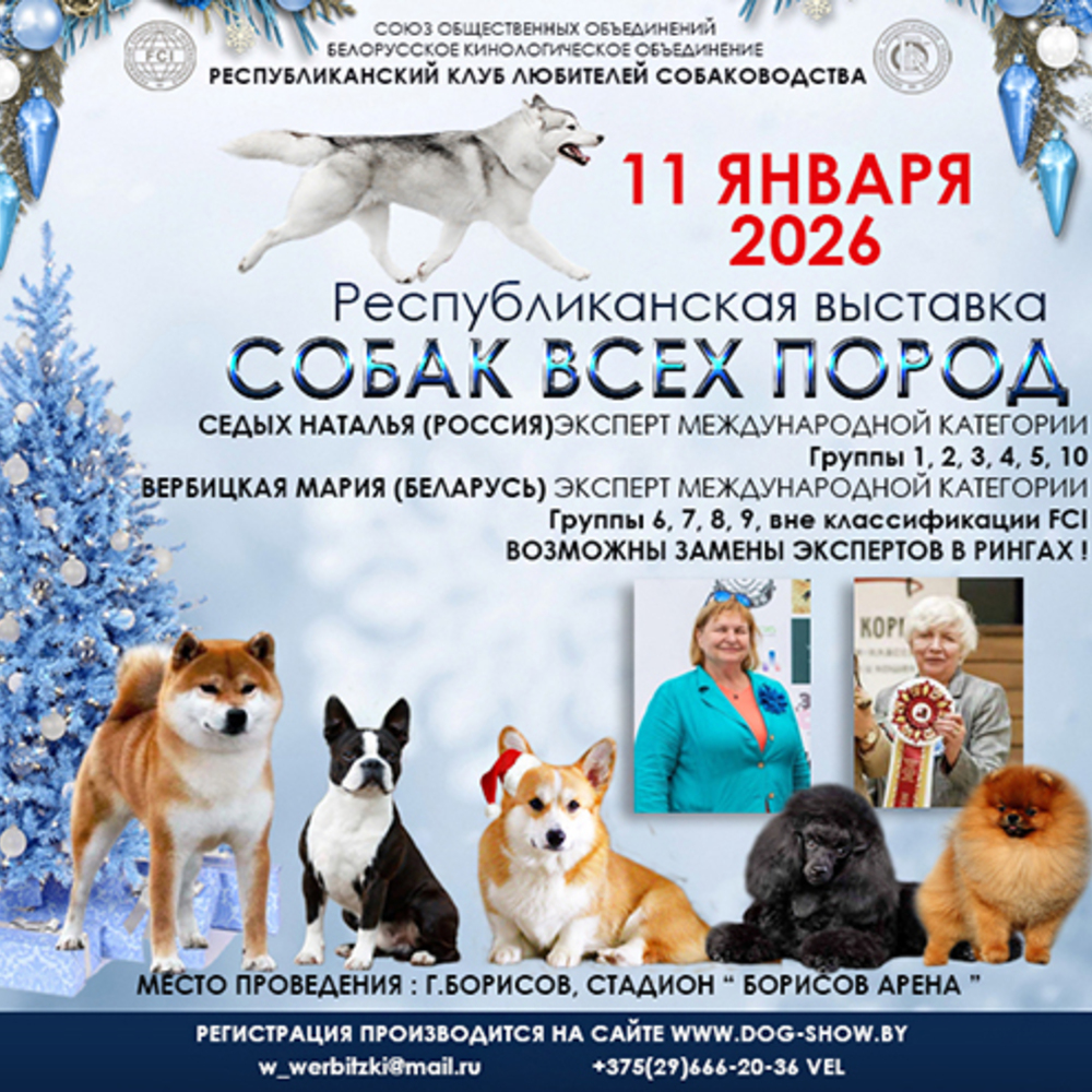 Республиканская выставка собак всех пород