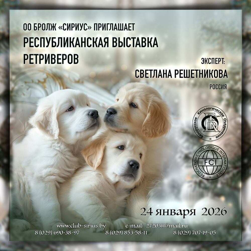 Республиканская выставка ретриверов
