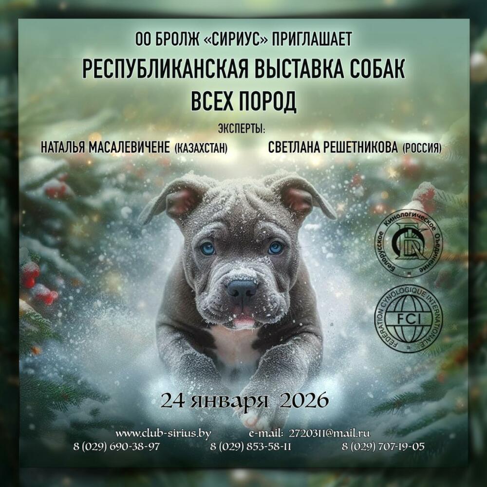 Республиканская выставка собак всех пород