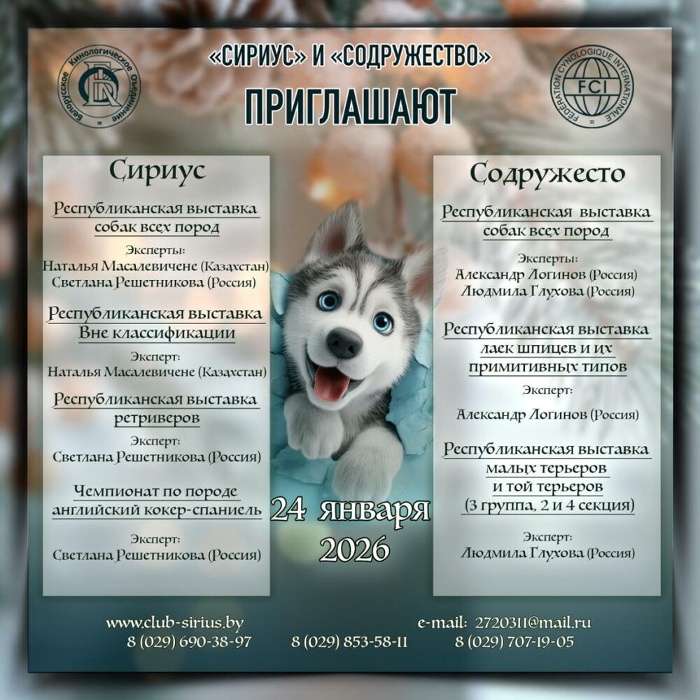 Республиканская выставка лаек, шпицев и их прототипов