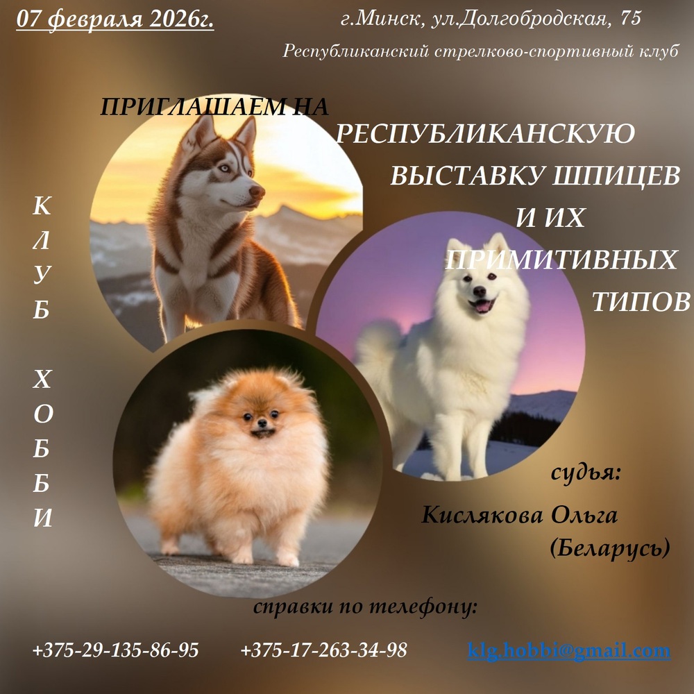 Республиканская выставка шпицев и их примитивных типов