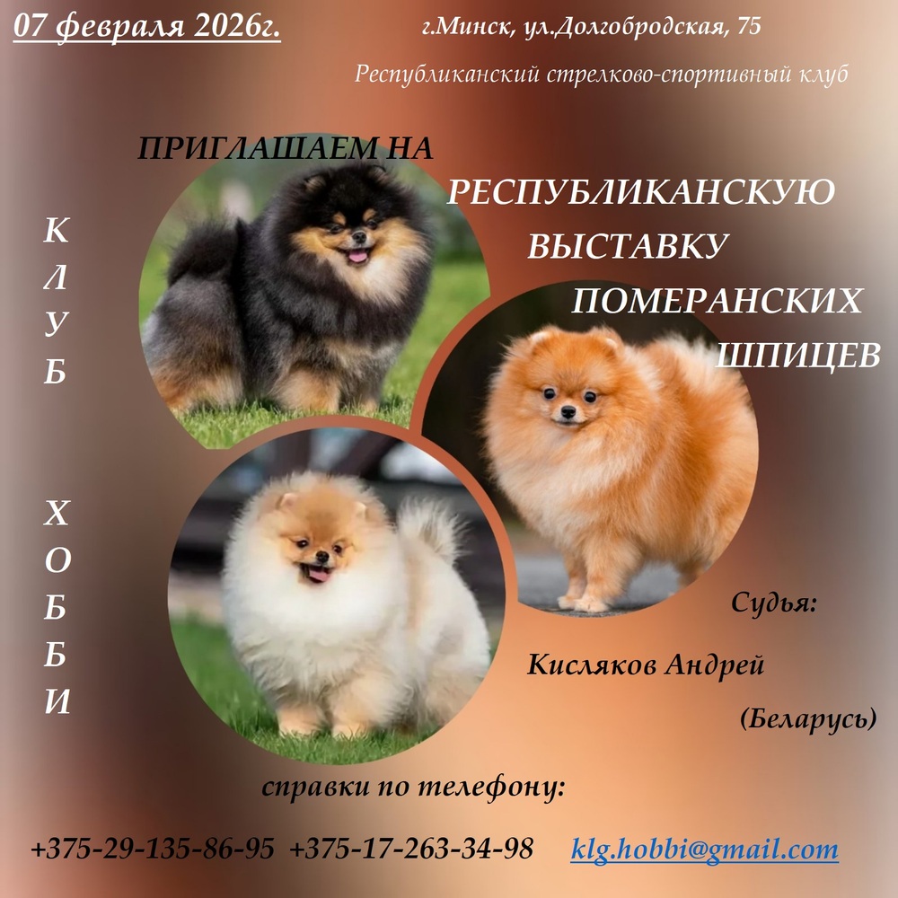 Республиканская выставка померанских шпицев