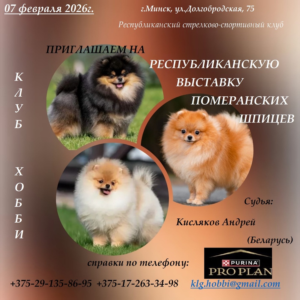 Республиканская выставка померанских шпицев