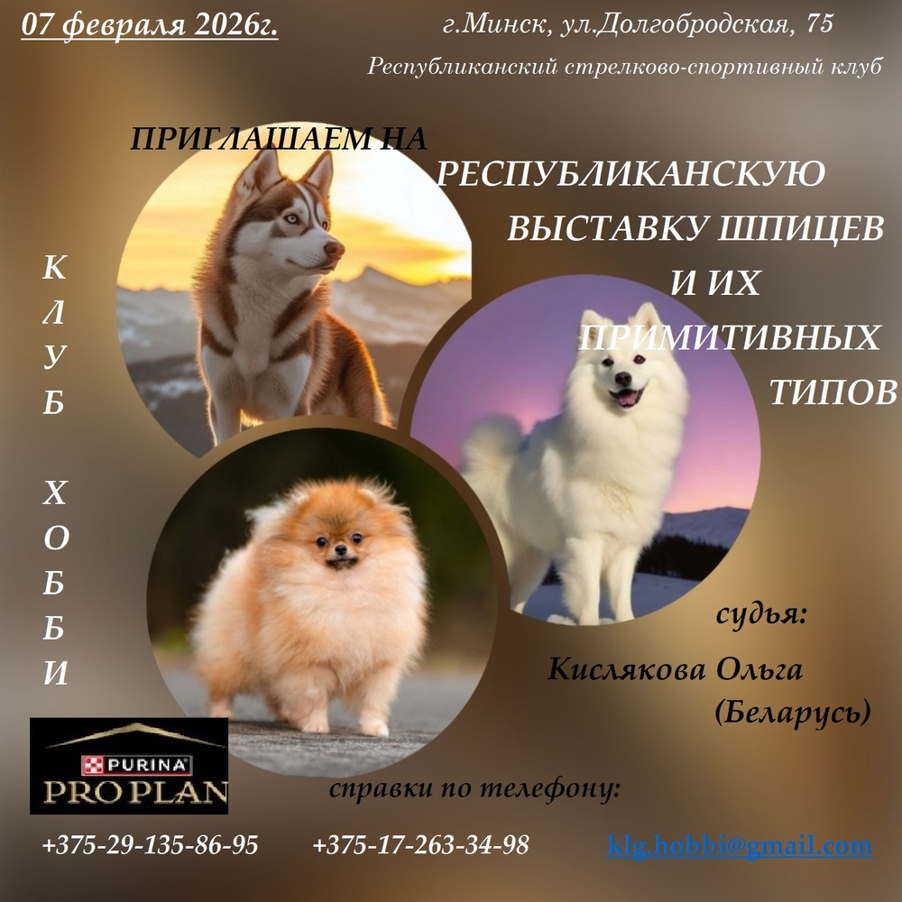 Республиканская выставка шпицев и их примитивных типов