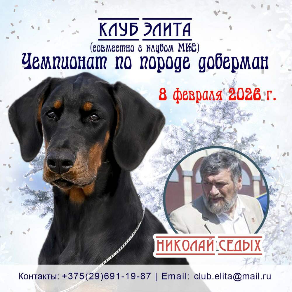 Чемпионат по породе доберман