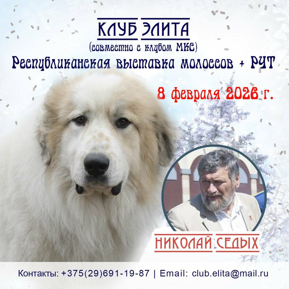 Республиканская выставка молоссов, РЧТ