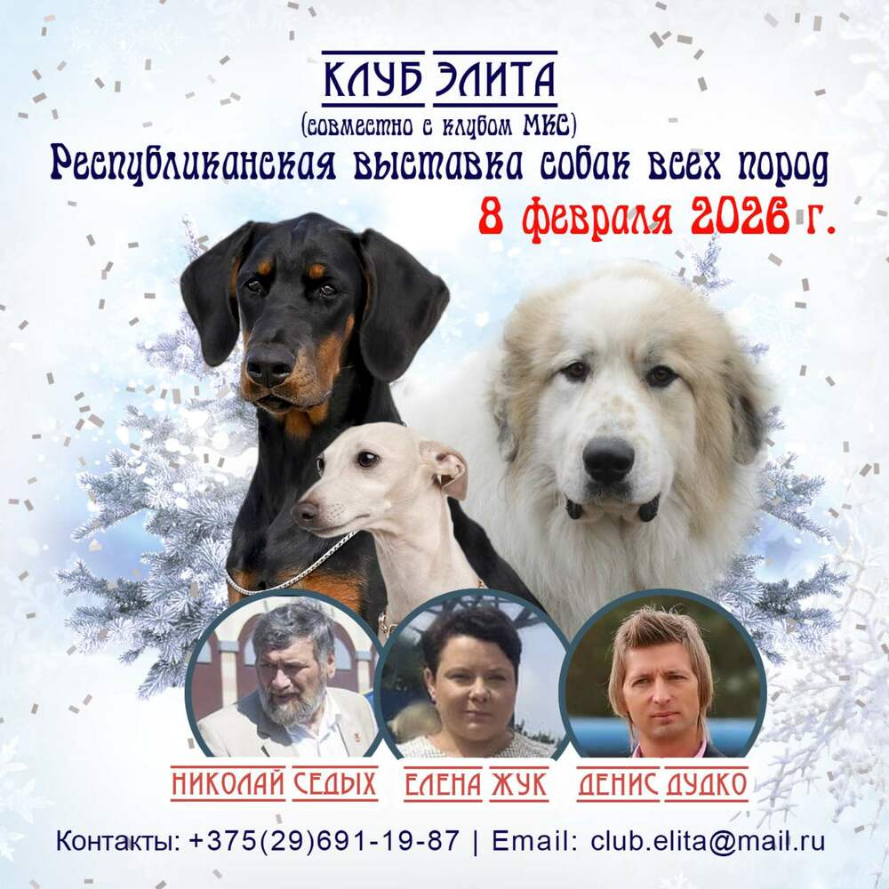 Республиканская выставка собак всех пород