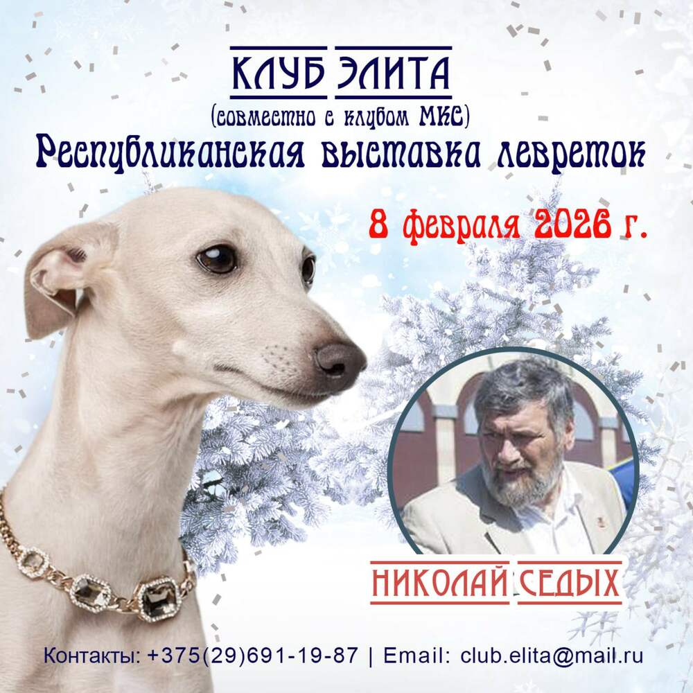 Республиканская выставка левреток