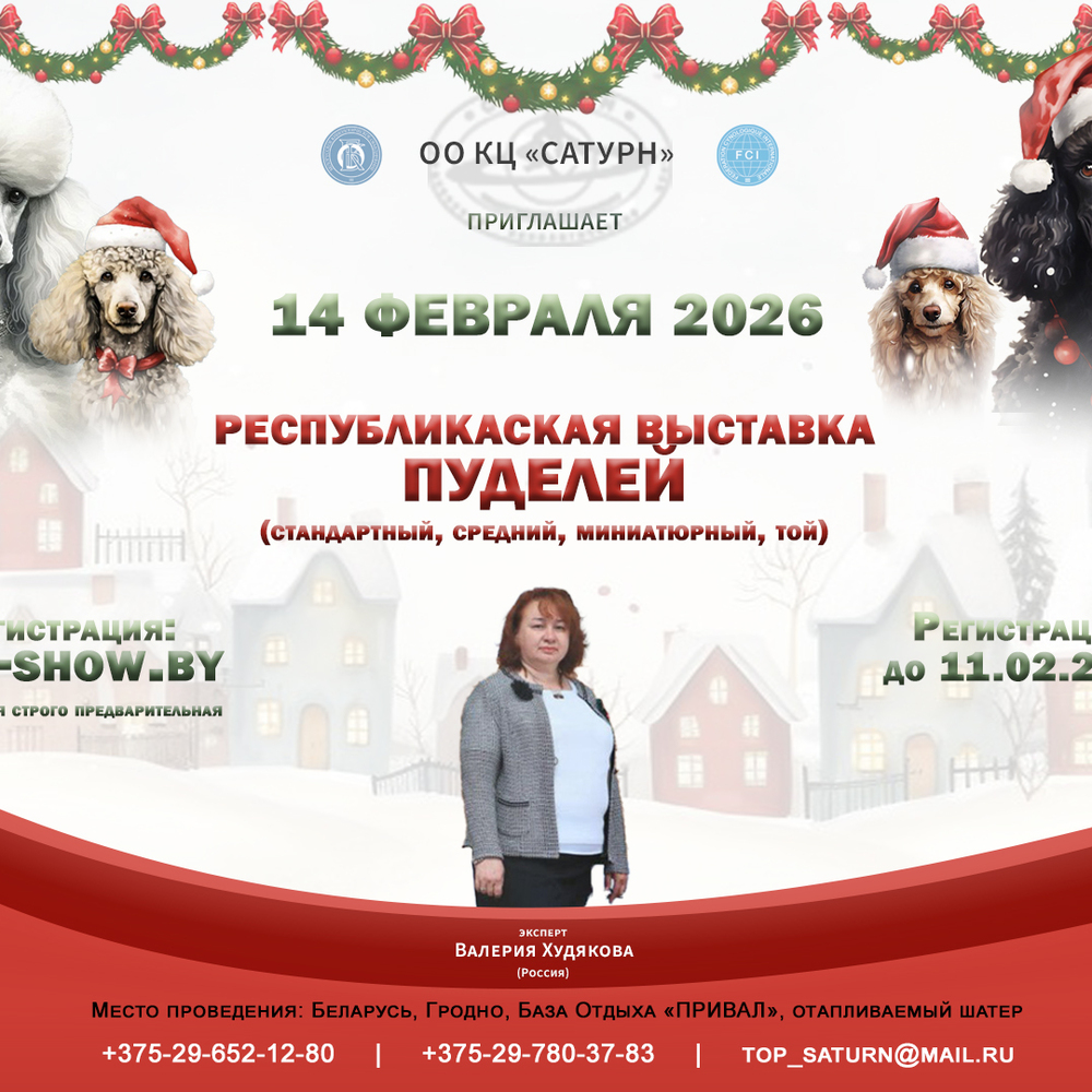 Республиканская выставка пуделей