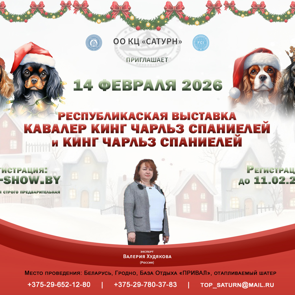 Республиканская выставка кавалер кинг чарльз спаниелей и кинг чарльз спаниелей