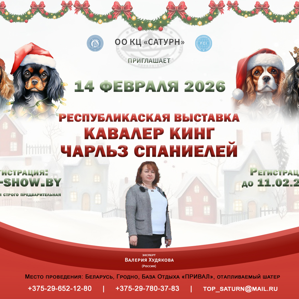 Республиканская выставка кавалер кинг чарльз спаниелей