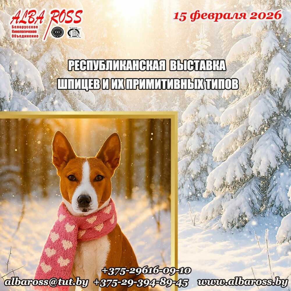 Республиканская выставка шпицев и их примитивных типов