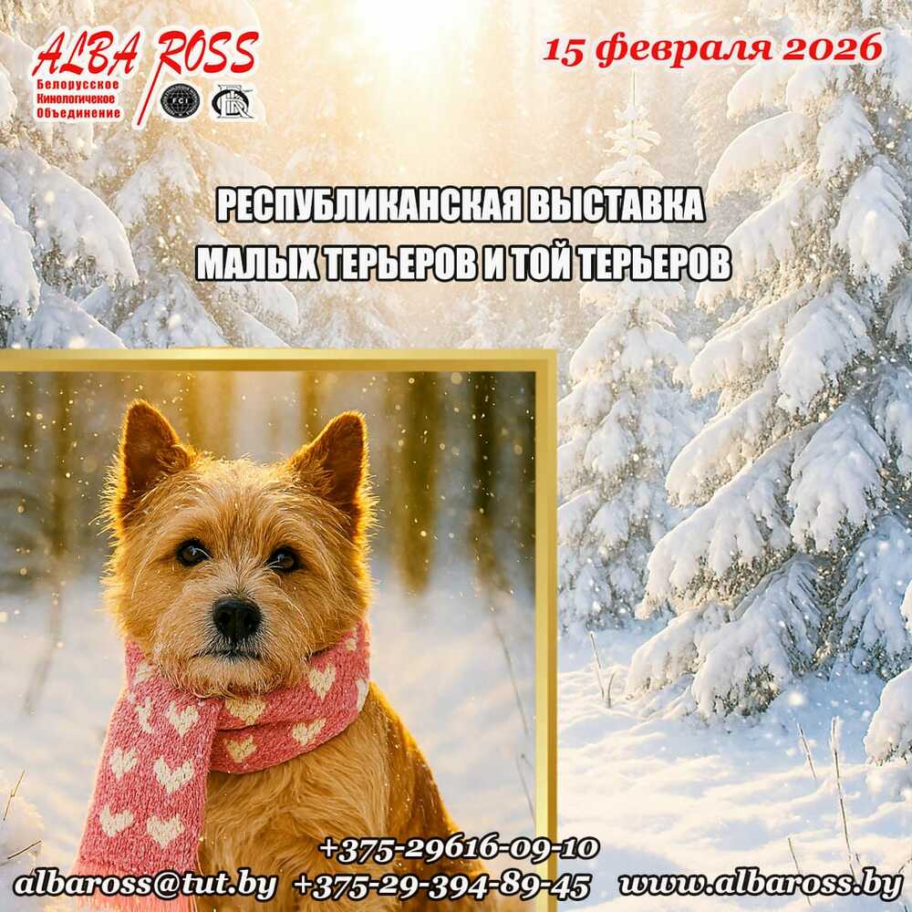 Республиканская выставка малых терьеров и той терьеров