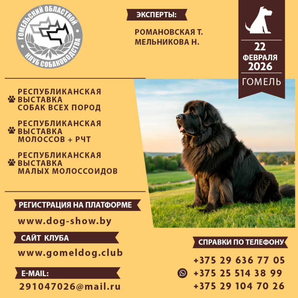 Республиканская выставка молоссов + РЧТ