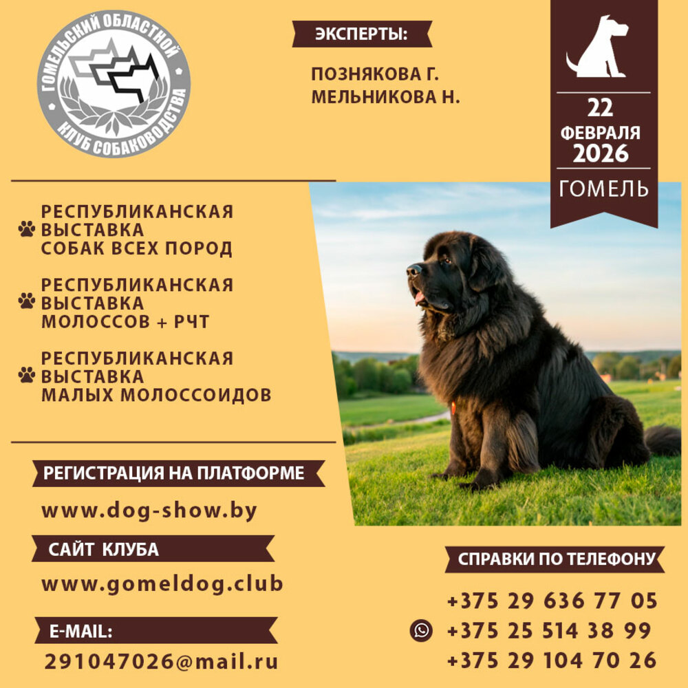 Республиканская выставка малых молоссоидов