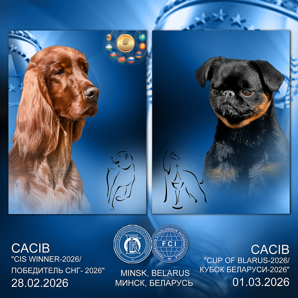 Международная выставка собак (CACIB)