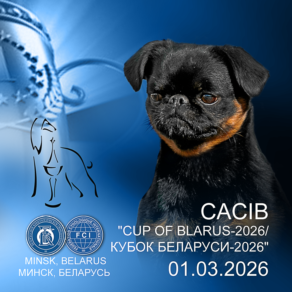 Международная выставка собак (CACIB)