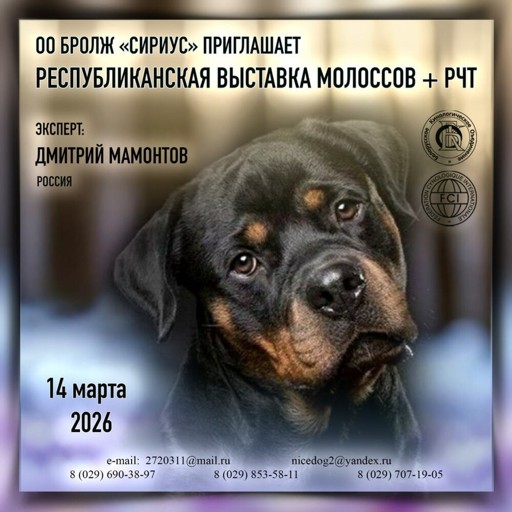 Республиканская выставка молоссов + РЧТ