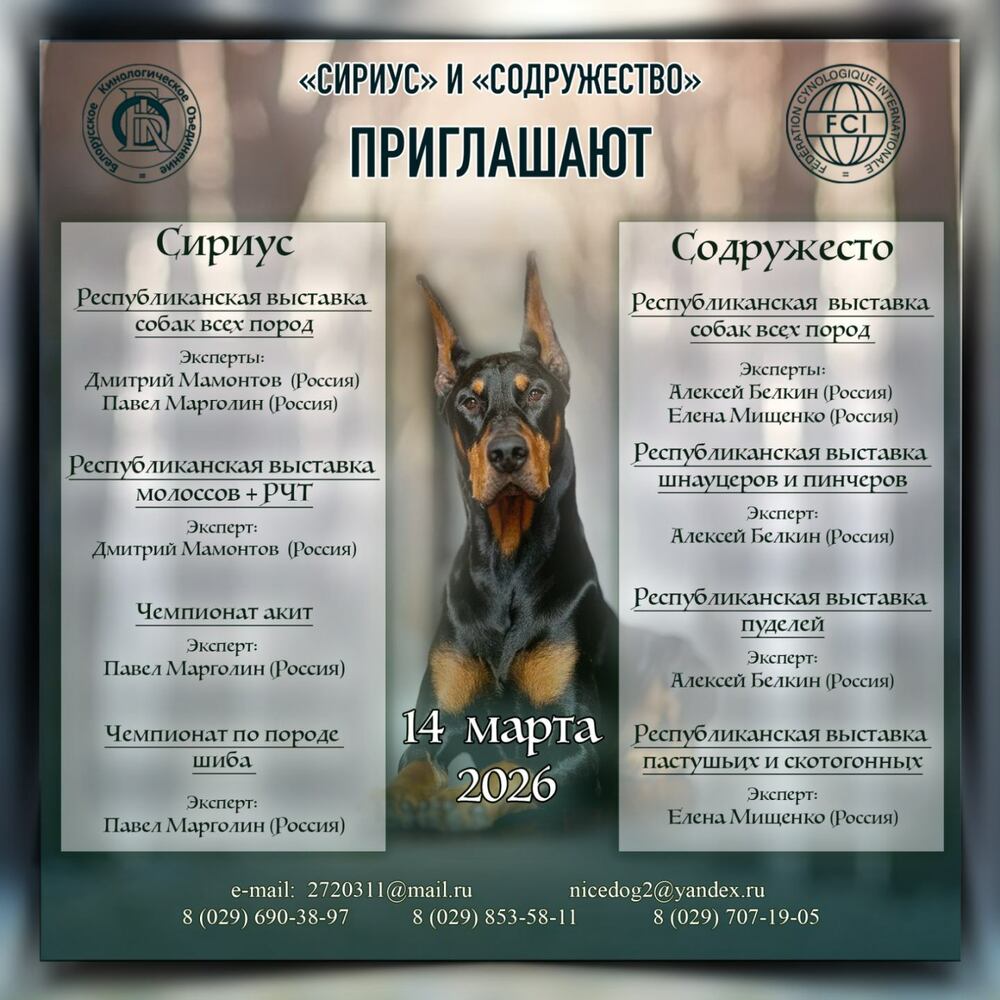 Республиканская выставка пинчеров-шнауцеров