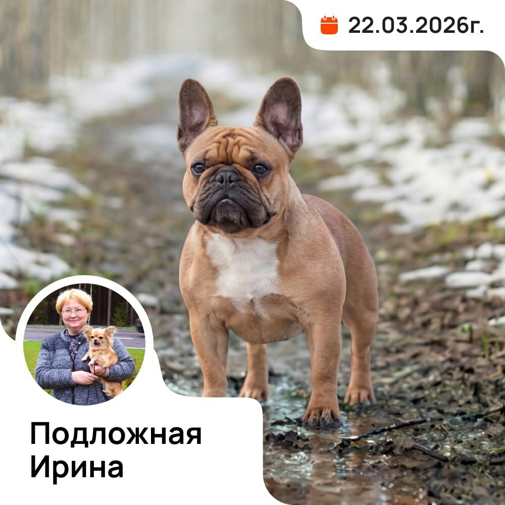 Республиканская выставка тоев и компаньонов