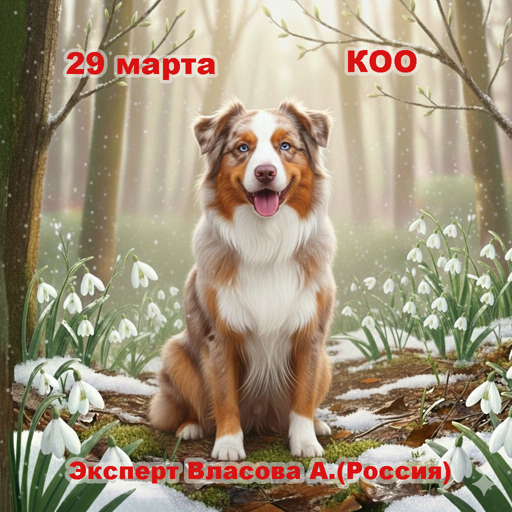 Республиканская выставка пастушьих и скотогонных пород